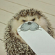 Illustration for article titled Hedgehog Impersonates Pikachu (and More)